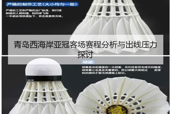 qing-dao-xi-hai-an-ya-guan-ke-chang-sai-cheng-fen-xi-yu-chu-xian-ya-li-tan-tao-2-401.jpg